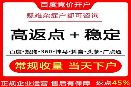 竞价广告的智能投放：XX平台的创新实践